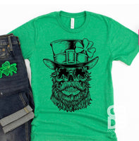 Irish Leprechaun Skull OS38