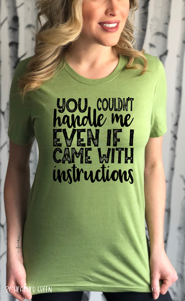 You couldn’t handle me even if I came with instructions PVD41
