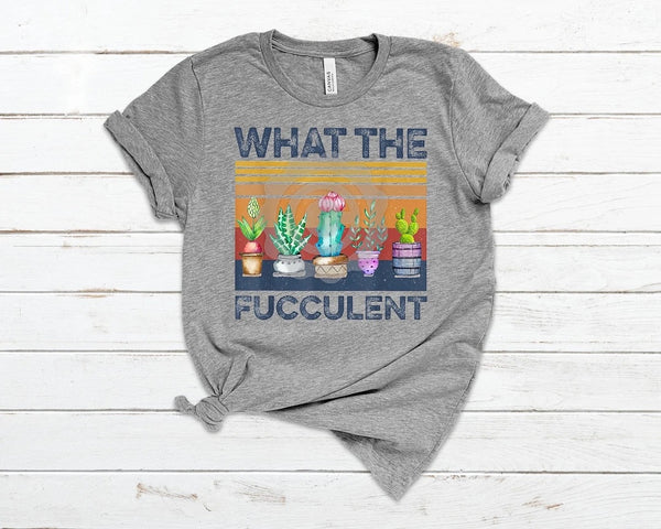 What the Fucculent PVD11