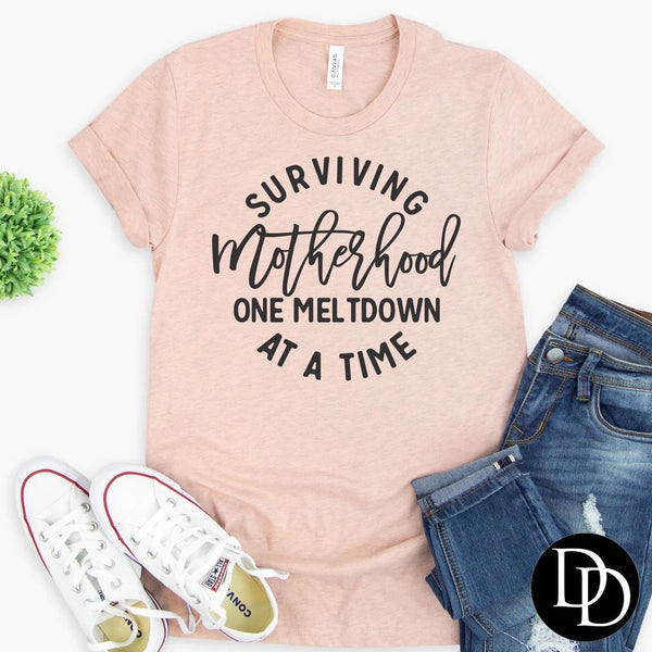 Surviving Motherhood One meltdown at a Time PVD6